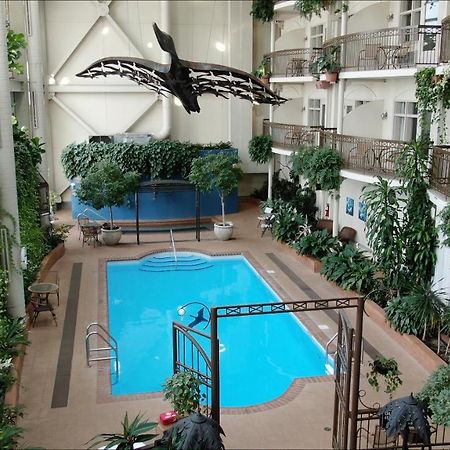Hotel L'Oie Des Neiges Lévis Kültér fotó