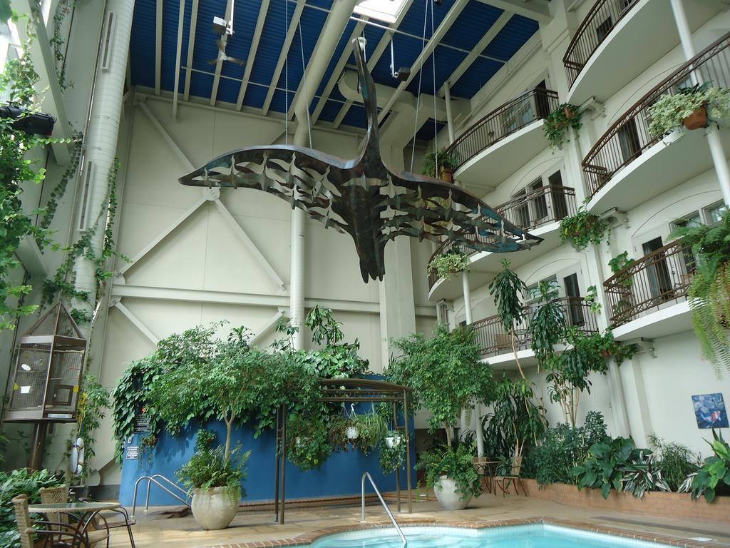 Hotel L'Oie Des Neiges Lévis Kültér fotó